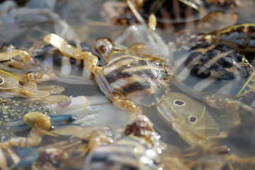 Fishermen on the beach