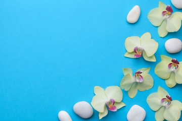 Orchid Flowers with Spa Stones on Blue Background