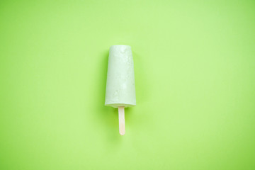 Green popsicle on green pastel background