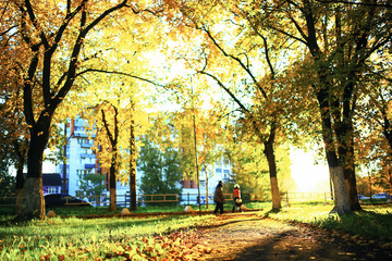 Sunny weather in autumn park