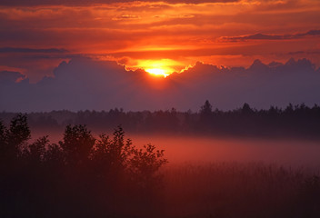 Landscape near Dabrowa Bialostocka. Poland
