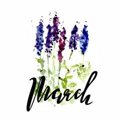 Watercolor illustration of wildflowers, painting lupines on a white and colored background with letterinf of march