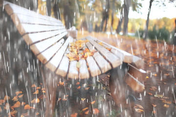 autumn rain background / bench in the park under the autumn rain, walk in cold weather, bad weather in the yellow October park, autumn landscape without people