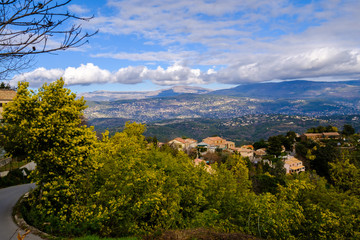 Vue panoramique sur le massif et le village de Tanneron, arbres de mimosa en fleurs. Provence, sud de France.