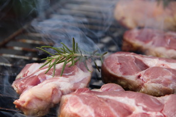 fried grilled meat with herbs