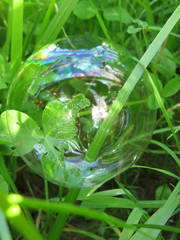 Soap bubbles