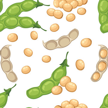 Seamless pattern of fresh whole soybean vegetable from the garden organic food open bean pod vector illustration isolated on white background web site page and mobile app design