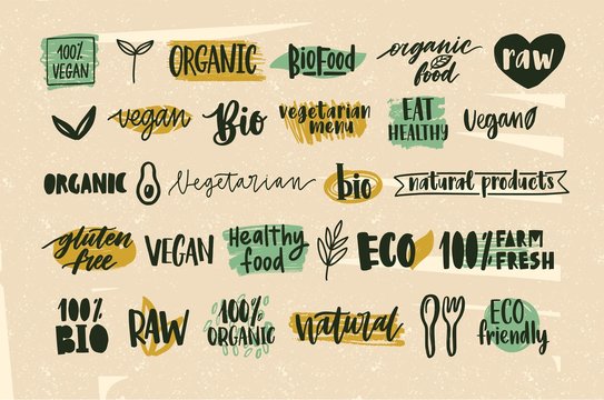 Collection of healthy organic food and natural vegan and vegetarian eco products lettering handwritten with calligraphic fonts. Bundle of hand drawn labels or tags. Creative vector illustration.