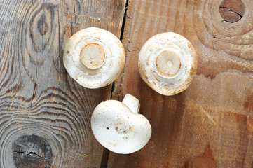 Fresh white mushrooms champignon on rustic wooden background