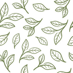 tea leaf  seamless pattern