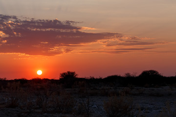 landscape namibia Etosha game reserve