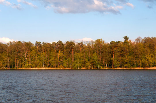 Lake with dark blue water and a green forest on a summer day