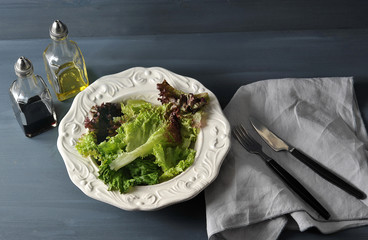 simple vegetarian dish - salad