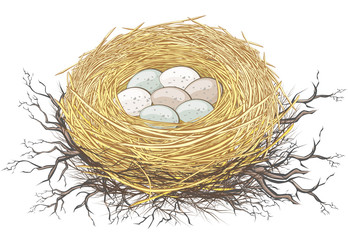 Nest oder Gelege eines Vogels mit Eiern in der Natur Ostern Dekoration - 194397916