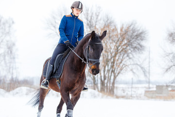 Young rider girl on bay horse walking on snowy field in winter. Winter equestrian activity...