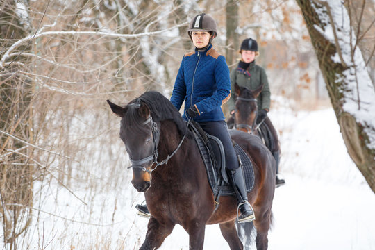 Two sportswomen riding hers bay horses in winter park. Equestrian winter activity background