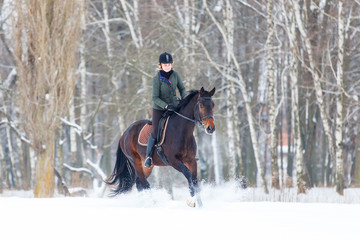 Young rider girl on bay horse walking on snowy field in winter. Winter equestrian activity...
