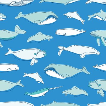 Gorgeous seamless pattern with various aquatic marine mammals hand drawn on blue background - whales, narwhal, dolphin, cachalot
