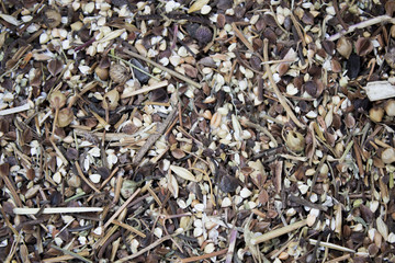 Screenings of buckwheat