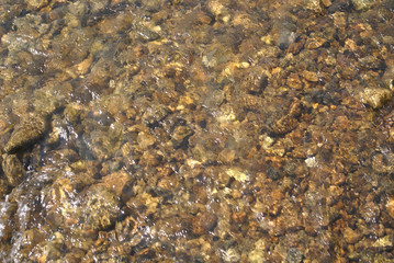 stone and water  texture background