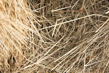 straw closeup