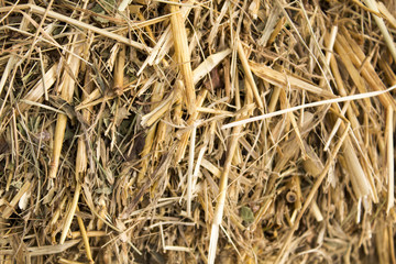 dry straw