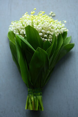 Lily of the valley