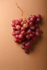 One branch of grapes