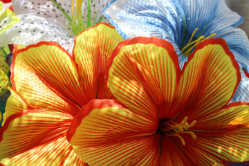 Large beautiful flowers close-up in nature