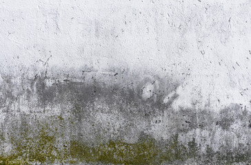 Naklejka premium Dirty wall with mold
