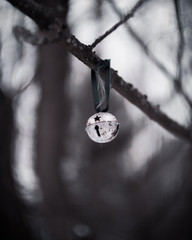 Hanging bell in a tree - 194404173