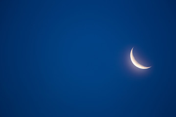 Obraz na płótnie Canvas Crescent Moon