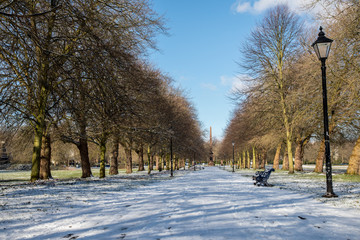 Snow covered path to Sefton Park obelisk