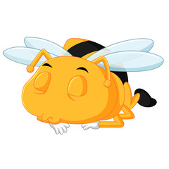 honey bee on a white background