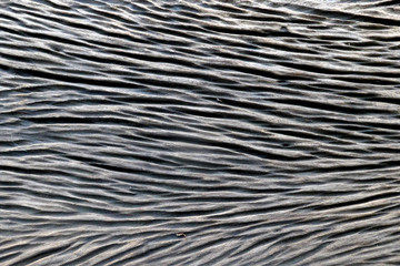 Old wood texture