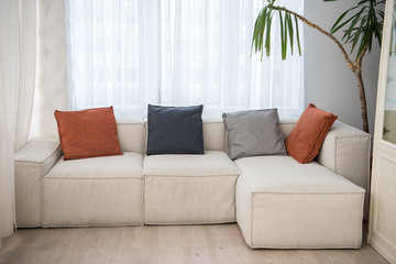 Couch with pillows of different colors and plant beside in modern living room