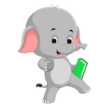 cute elephant holding book