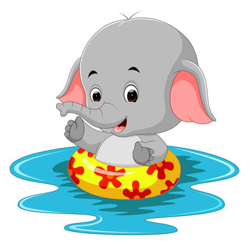 funny elephant swimming using ringball