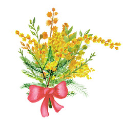 bouquet of mimosa watercolor