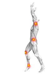 Conceptual human muscle anatomy with red and yellow hot spot inflammation or articular joint pain for health care therapy or sport concepts. 3D illustration man arthritis or bone osteoporosis disease