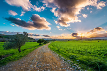 tramonto in sardegna