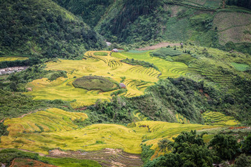 Terraced rice fields in the North mountains of Vietnam. Lao Cai province.
