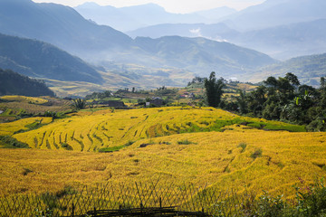Terraced rice fields in the North mountains of Vietnam. Lao Cai province.