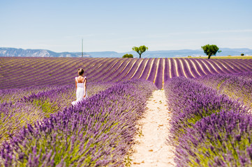 Fototapeta premium Little girl in a long white dress walking through the filed of blooming lavender with mountains in background. Beginning of July.Hot sunny day.Horizontal layout