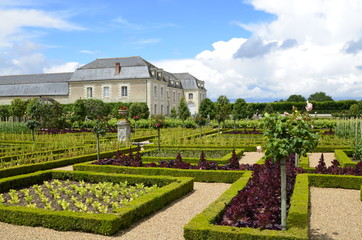 Villandry, Loire valley, France June 26 2017. View of the castle on the side of magnificent vegetable gardens, salads and vegetables masterfully cultivated.
