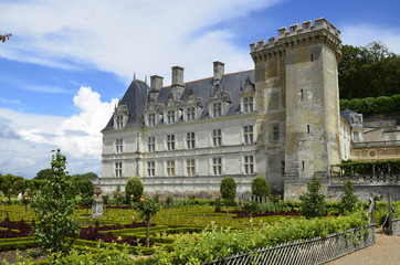 Fototapeta na wymiar Villandry, Loire valley, France June 26 2017. View of the castle on the side of magnificent vegetable gardens, salads and vegetables masterfully cultivated.