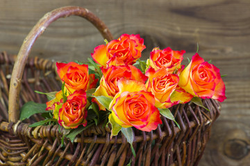 Fototapeta na wymiar orange roses in a basket