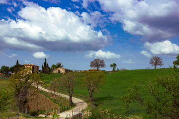 old house and cypresses