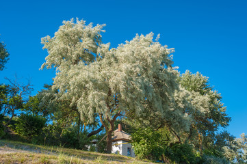 Landschaft am Wulfener Hals, Insel Fehmarn