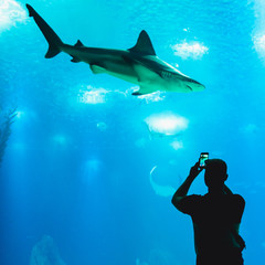 Man watching fish through the glass in Oceanarium